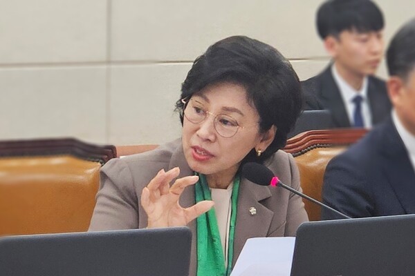 더불어민주당 남인순 의원. 사진=김원정 기자