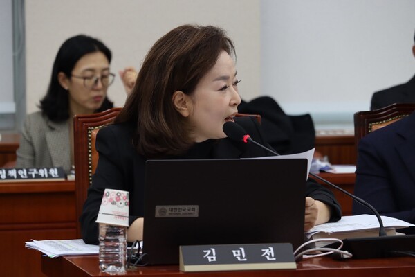 국회 교육위원회 소속 국민의힘 김민전 의원. 사진=김민전 의원 페이스북