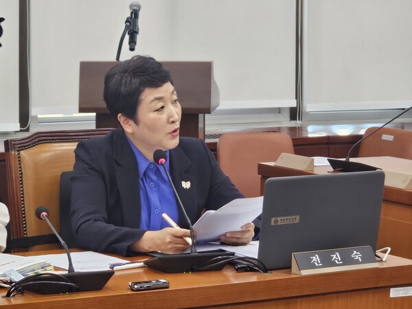 더불어민주당 전진숙 의원. 사진=김원정 기자