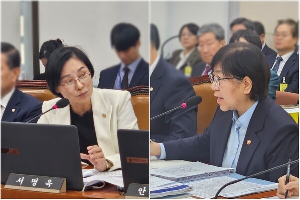 (왼쪽부터) 국민의힘 서명옥 의원, 보건복지부 정은경 장관. 사진=김원정 기자