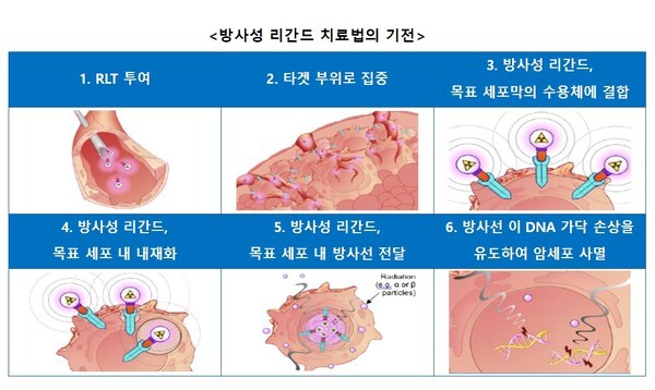 제공=한국노바티스