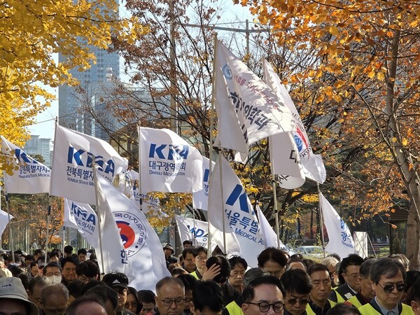 국민건강수호 및 의료악법 저지를 위한 전국의사 대표자 궐기대회에서 휘날리는 깃발들. 사진=박으뜸 기자