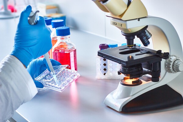 사진=게티이미지